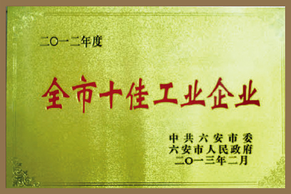 集團被六安市委、市政府評為“全市十佳工業(yè)企業(yè)”。