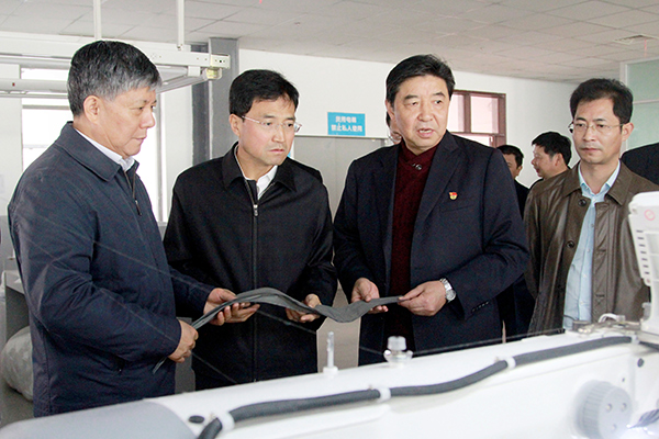 安徽省人大常委會劉明波副主任蒞臨集團考察調(diào)研