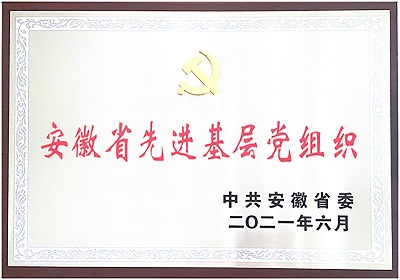 先進基層黨組織獎牌